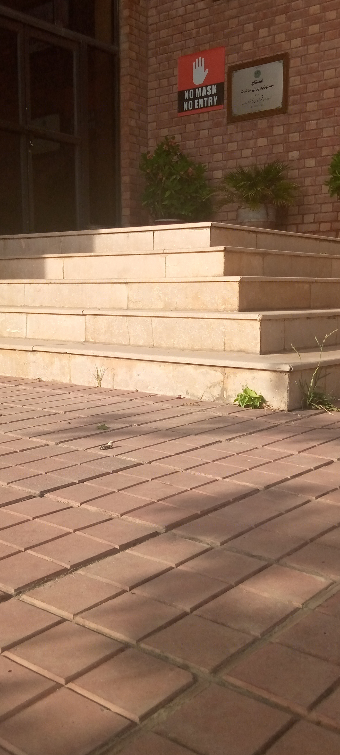 SHADOW OF ARCHITECTURAL ELEMENT-0