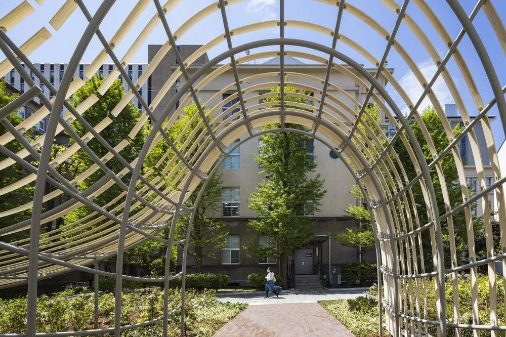 早稻田大学村上春树图书馆丨日本东京丨隈研吾建筑都市设计事务所-34