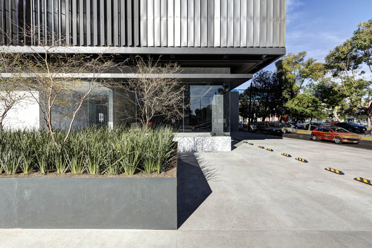 墨西哥 LoMa Chapalita 办公楼丨Elías Rizo Architects-22