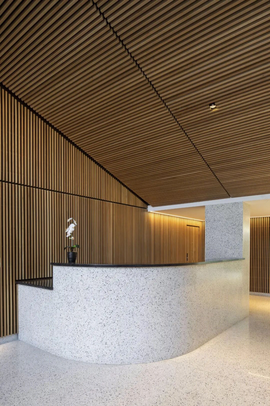 Corte 全玻璃幕墙多层办公建筑丨美国纽约丨Beyer Blinder Belle,Dieguez Fridman-35