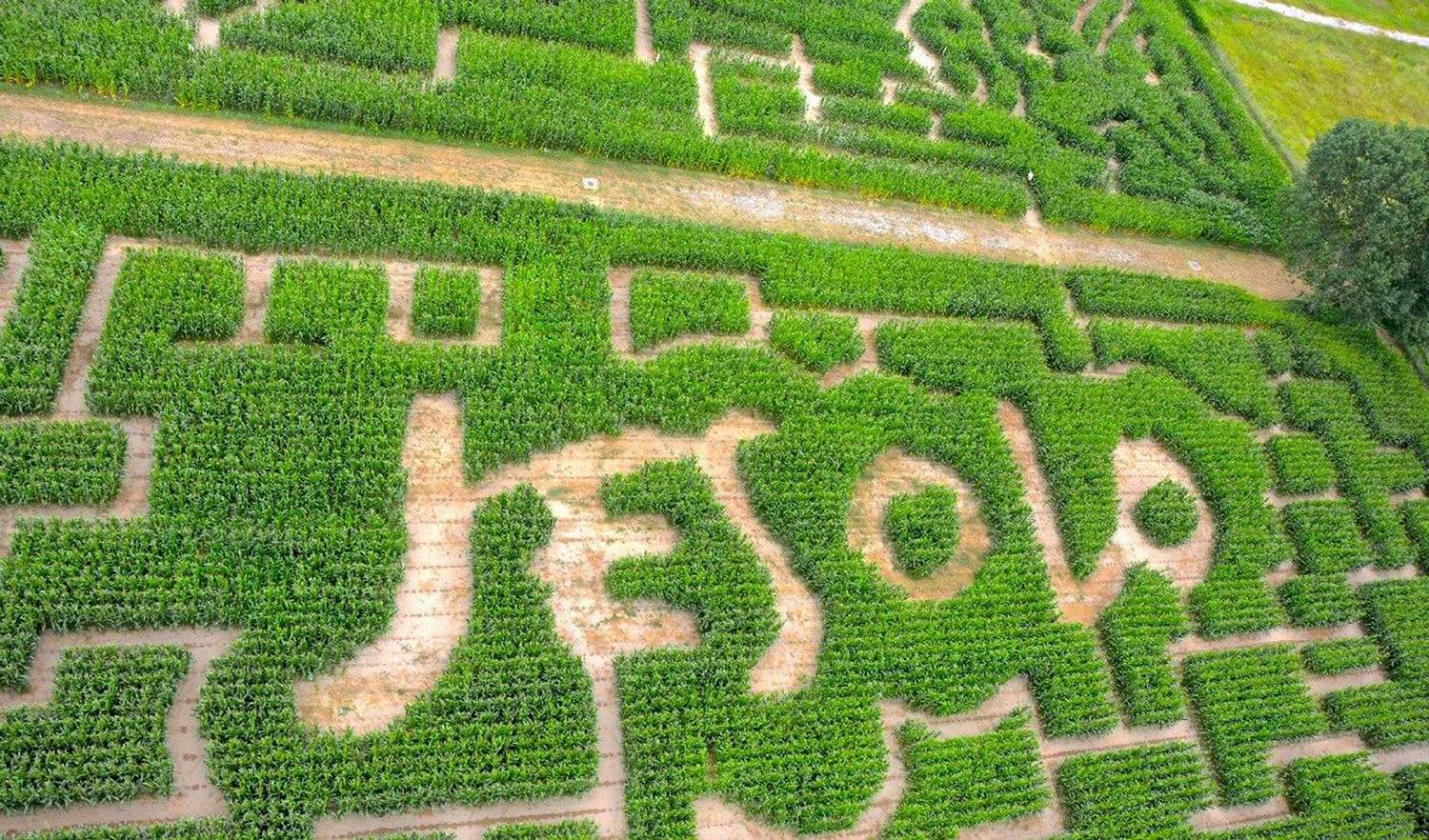 意大利威尼斯玉米田迷宫 (Italy Venice Cornfield Maze)-11