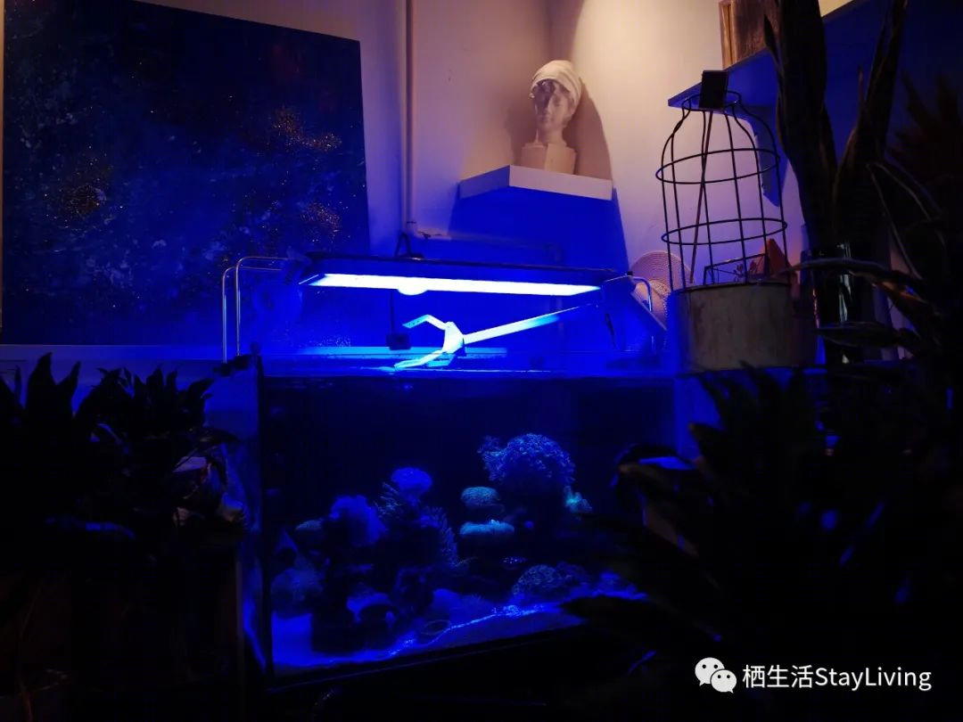 城市绿洲 · 老铁花园的慢生活乌托邦丨荷兰-39